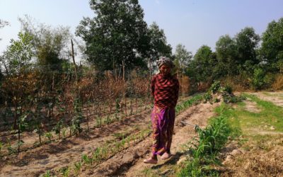 Saison des pluies, agroécologie et changement climatique : les enjeux de la double saisonnalité au Cambodge