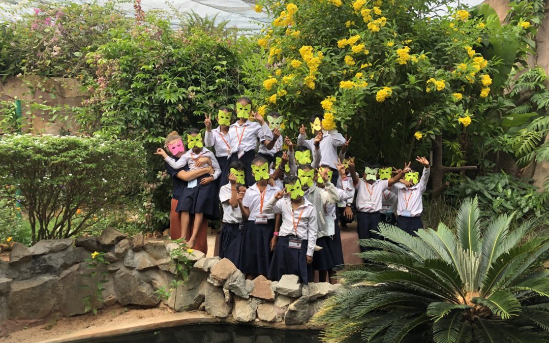 Activités extra scolaire à l'école primaire, à la ferme des papillons de siem Reap