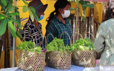 The Bayon farmers’ project is evolving: Towards the marketing of their vegetables!